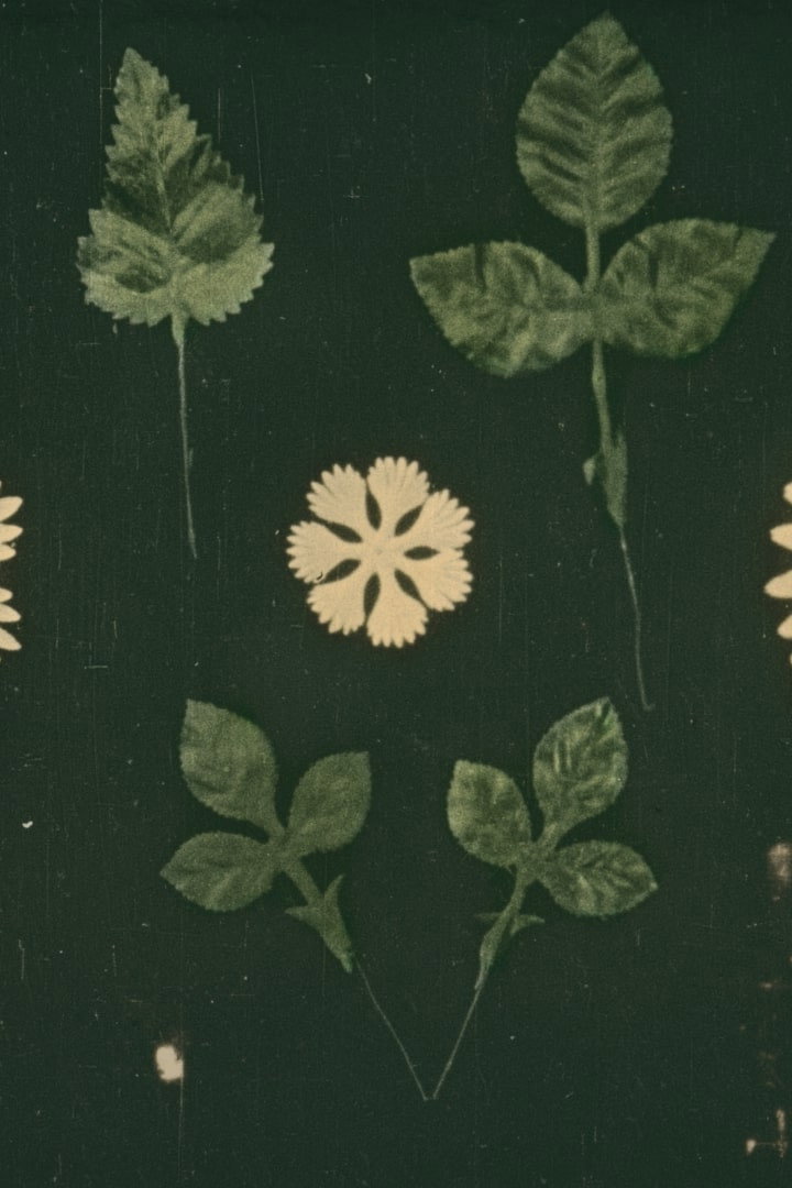 Fabrication des Fleurs Artificielles