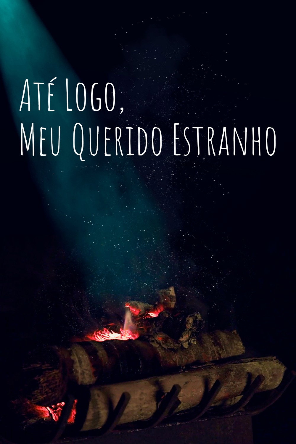 Até Logo, Meu Querido Estranho