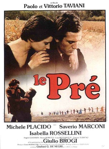 Il prato