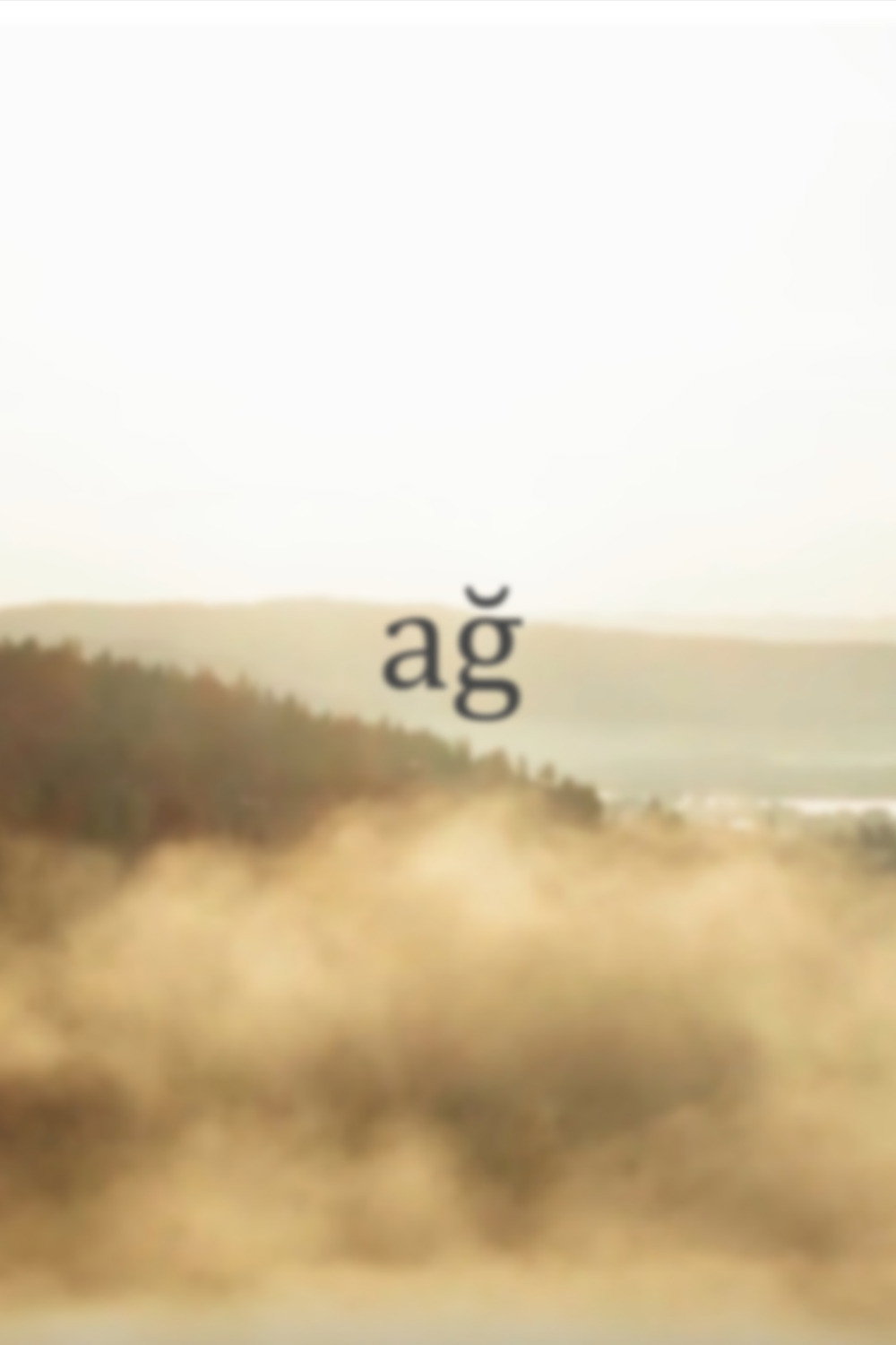 ağ