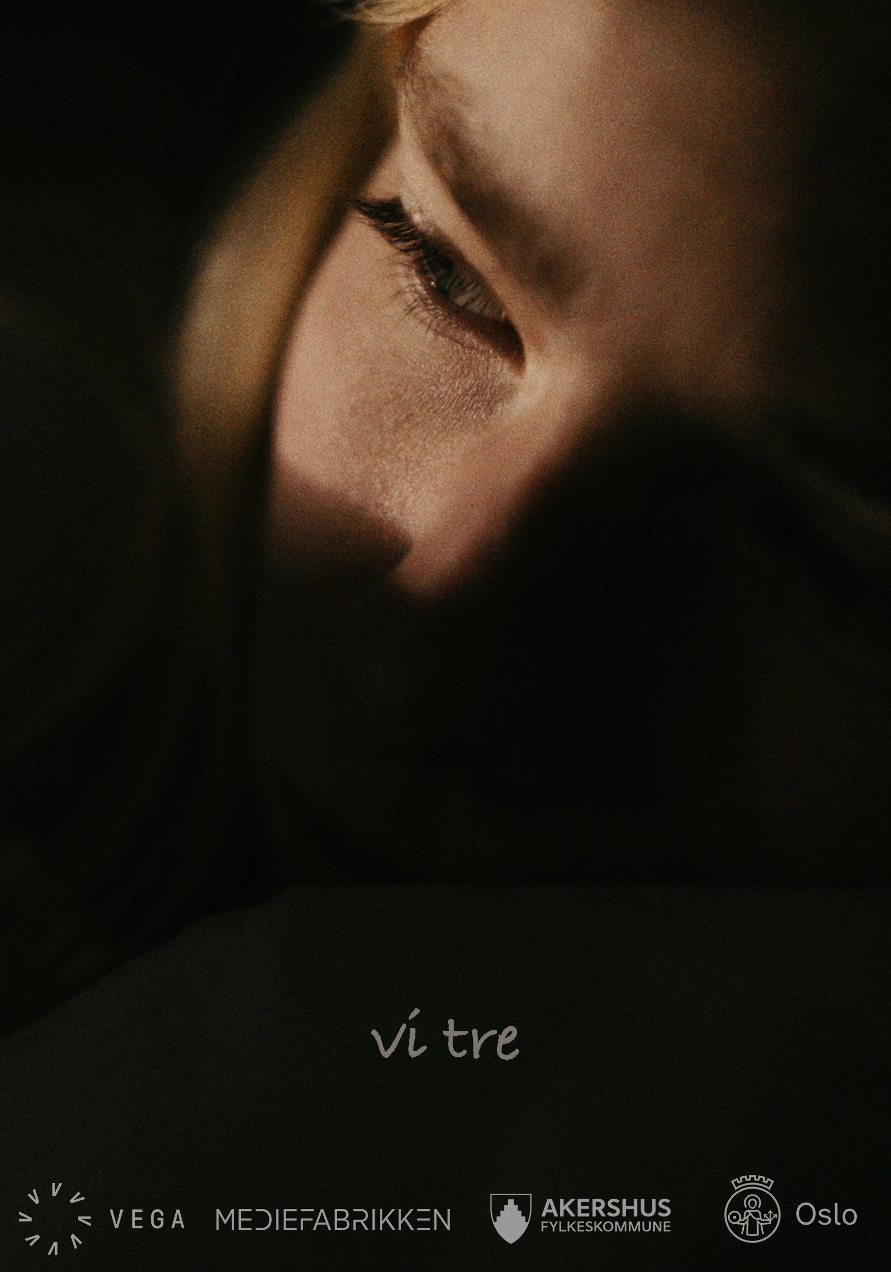 Vi tre
