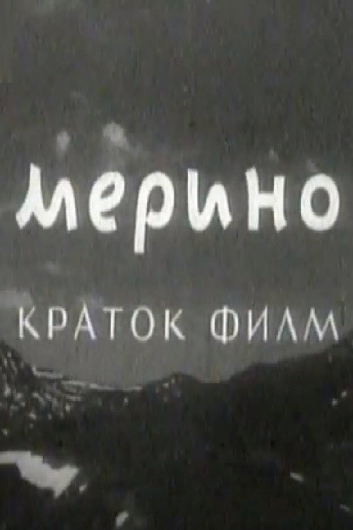 Мерино