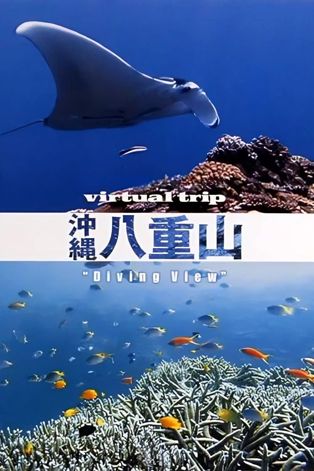 Virtual Trip Diving View