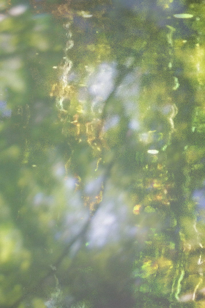 Printemps