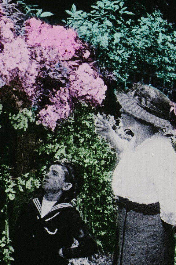 Les Fleurs dans les jardins