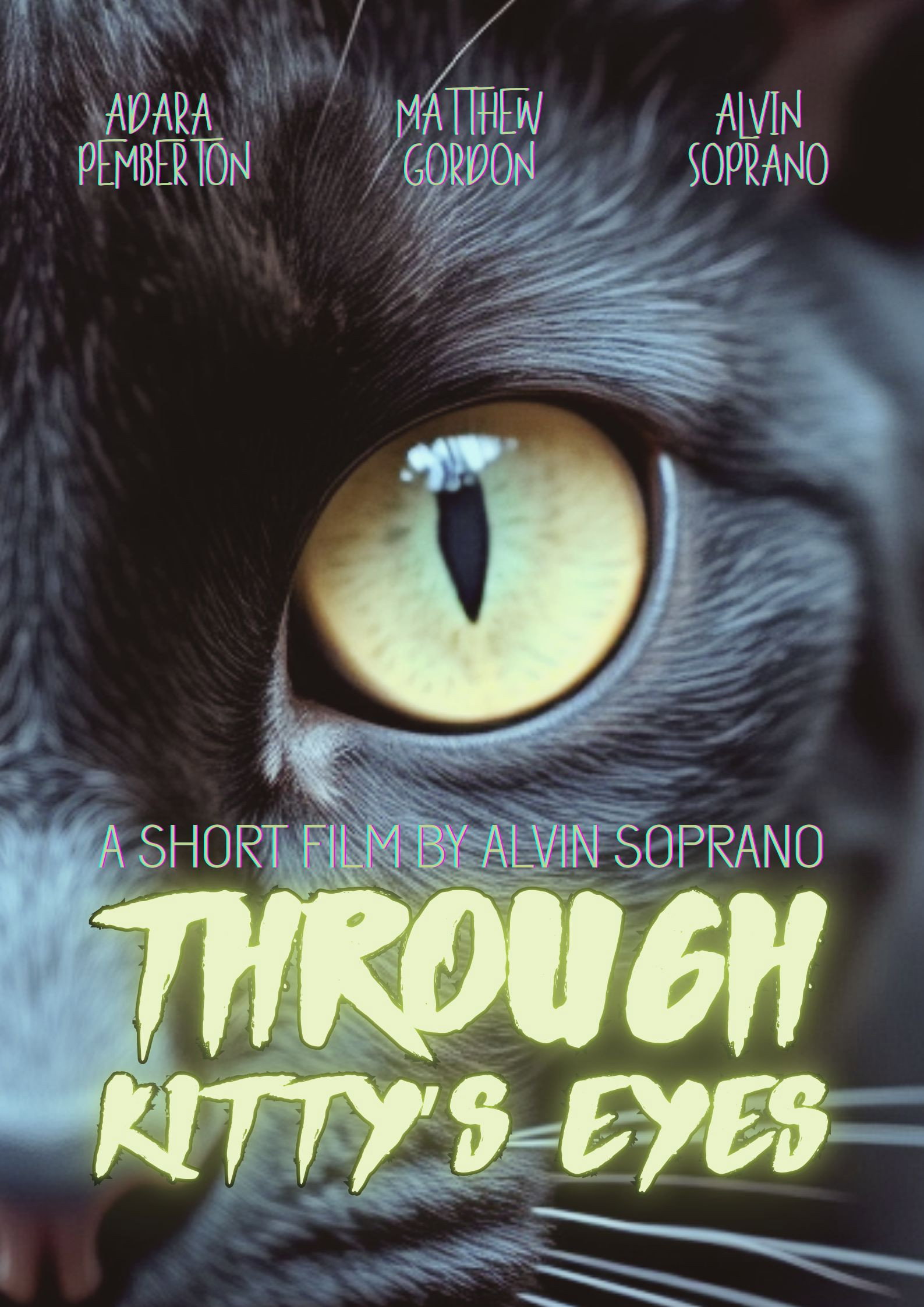 Through Kitty’s Eyes