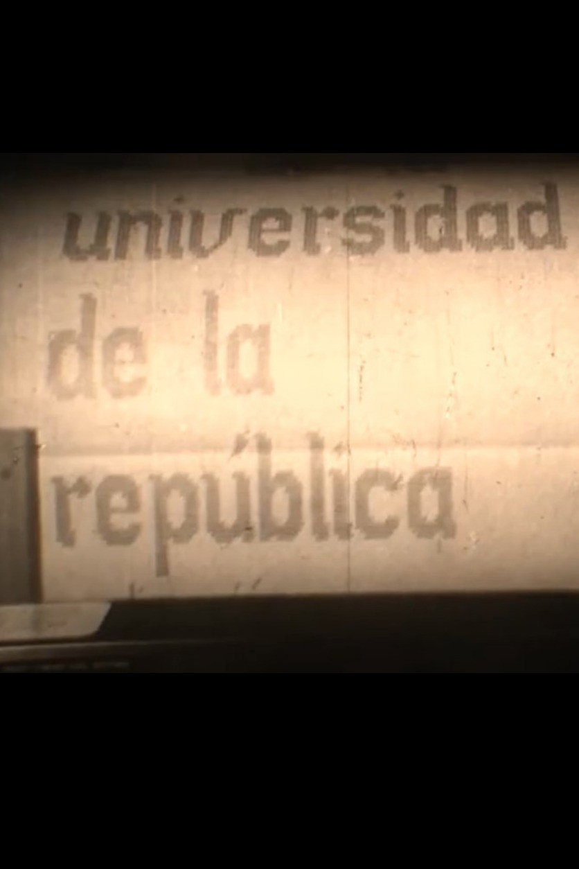 Computación en la Universidad