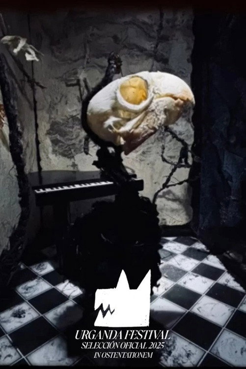 Solve Et Coagula