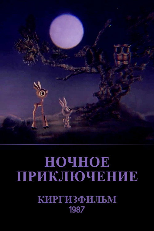Ночное приключение