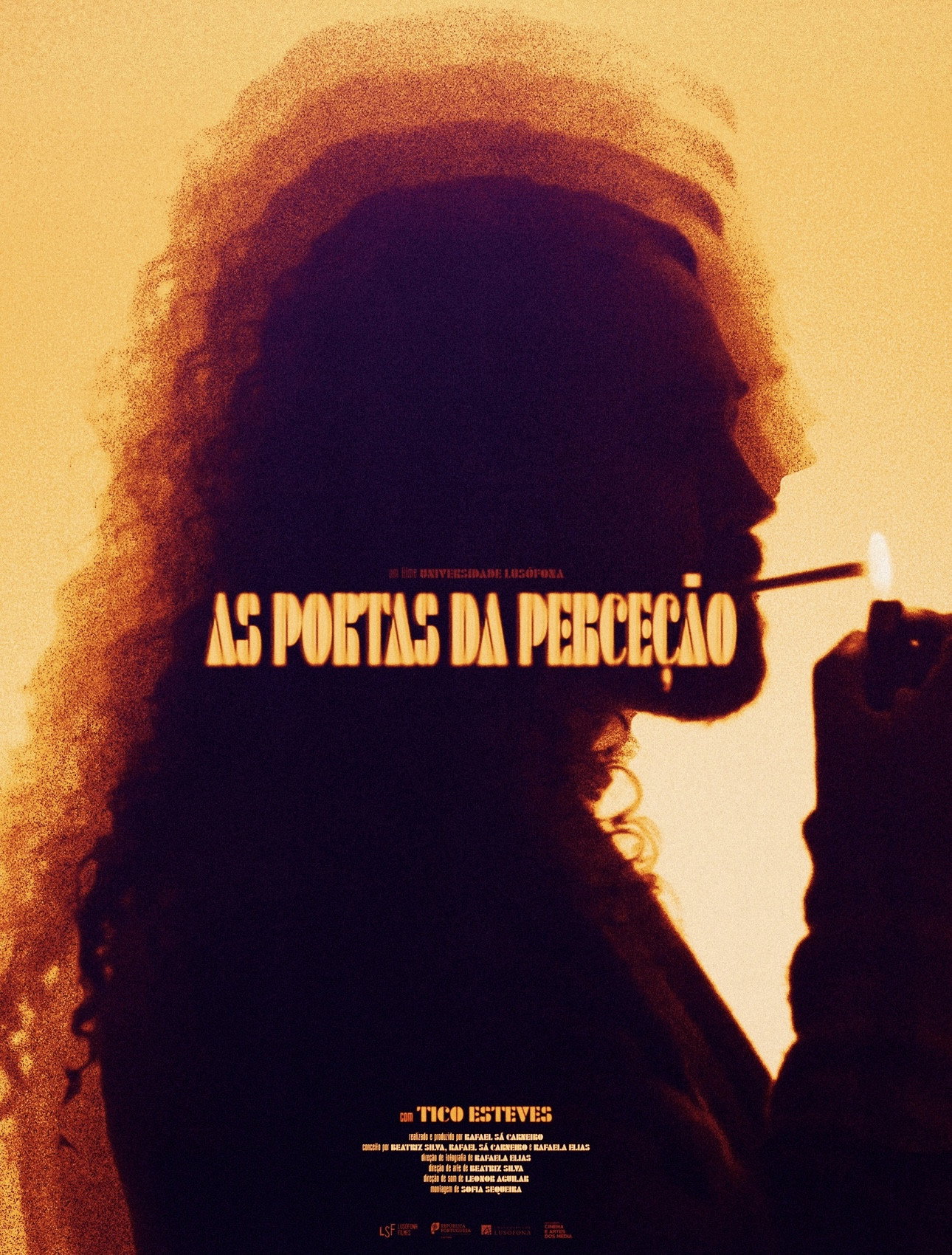 As Portas da Perceção