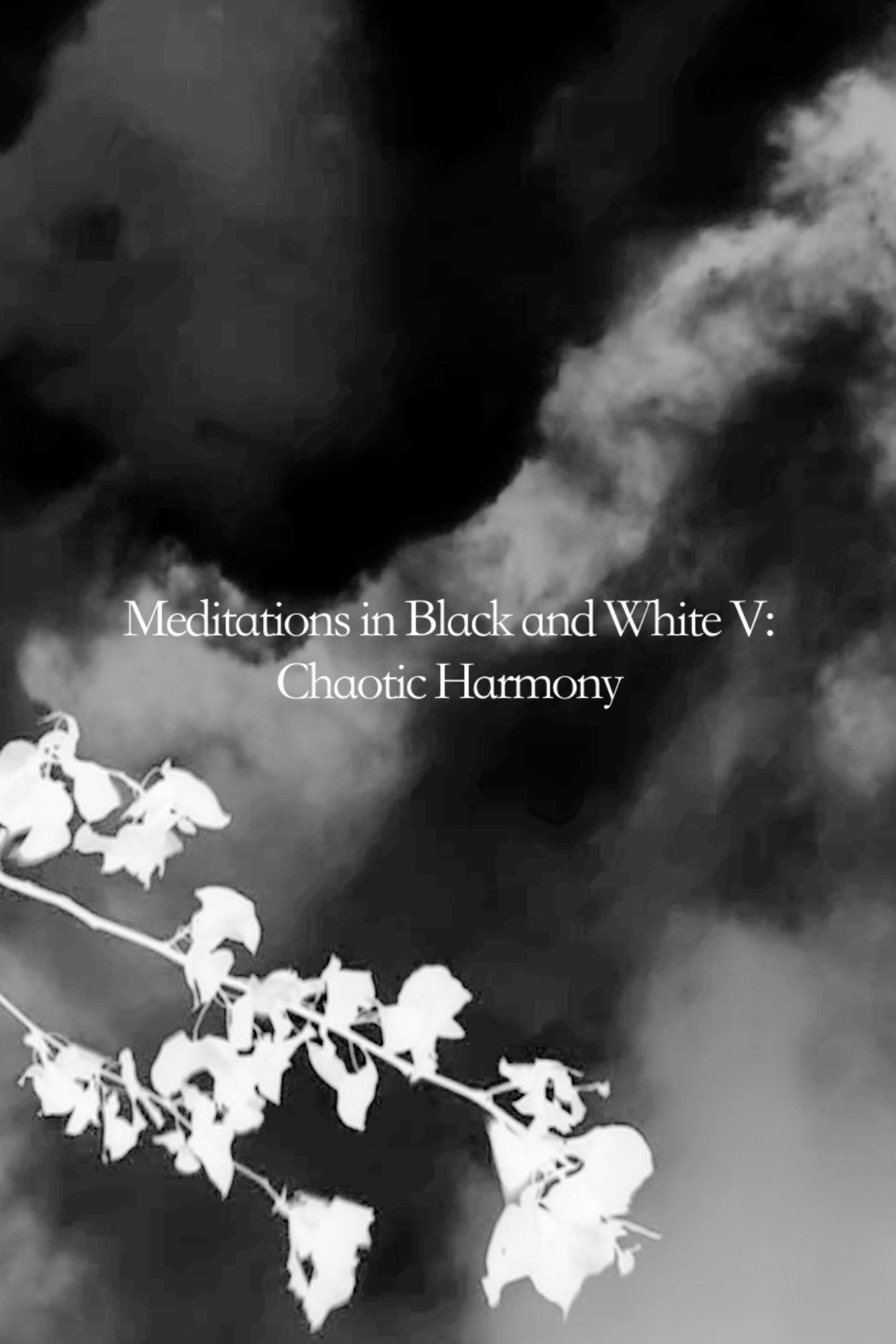 Meditations in Black and White V: Chaotic Harmony