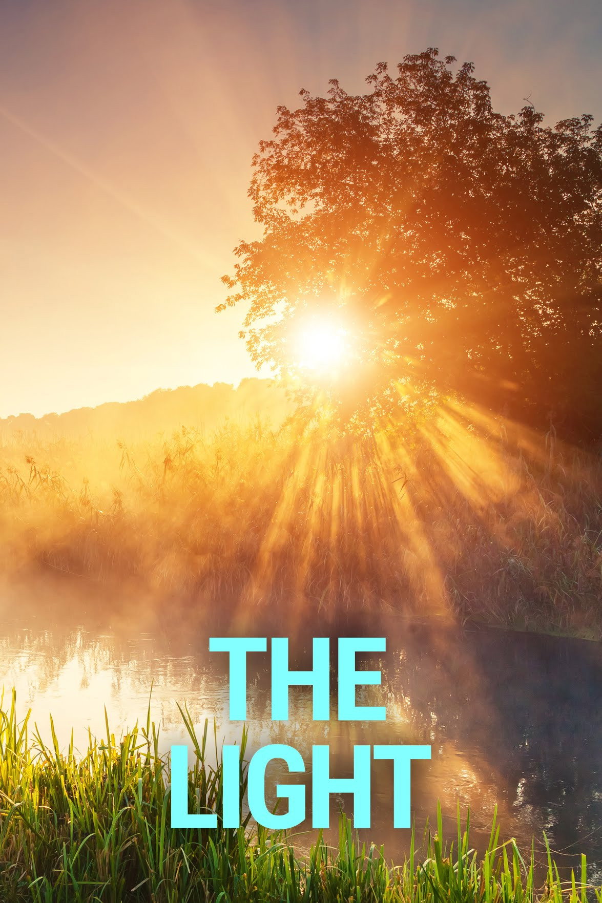 The Light 2025