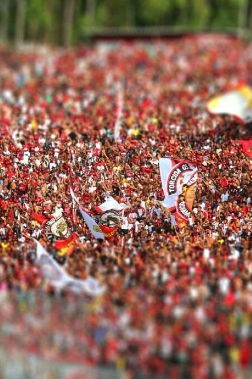 O Mundo da Bola