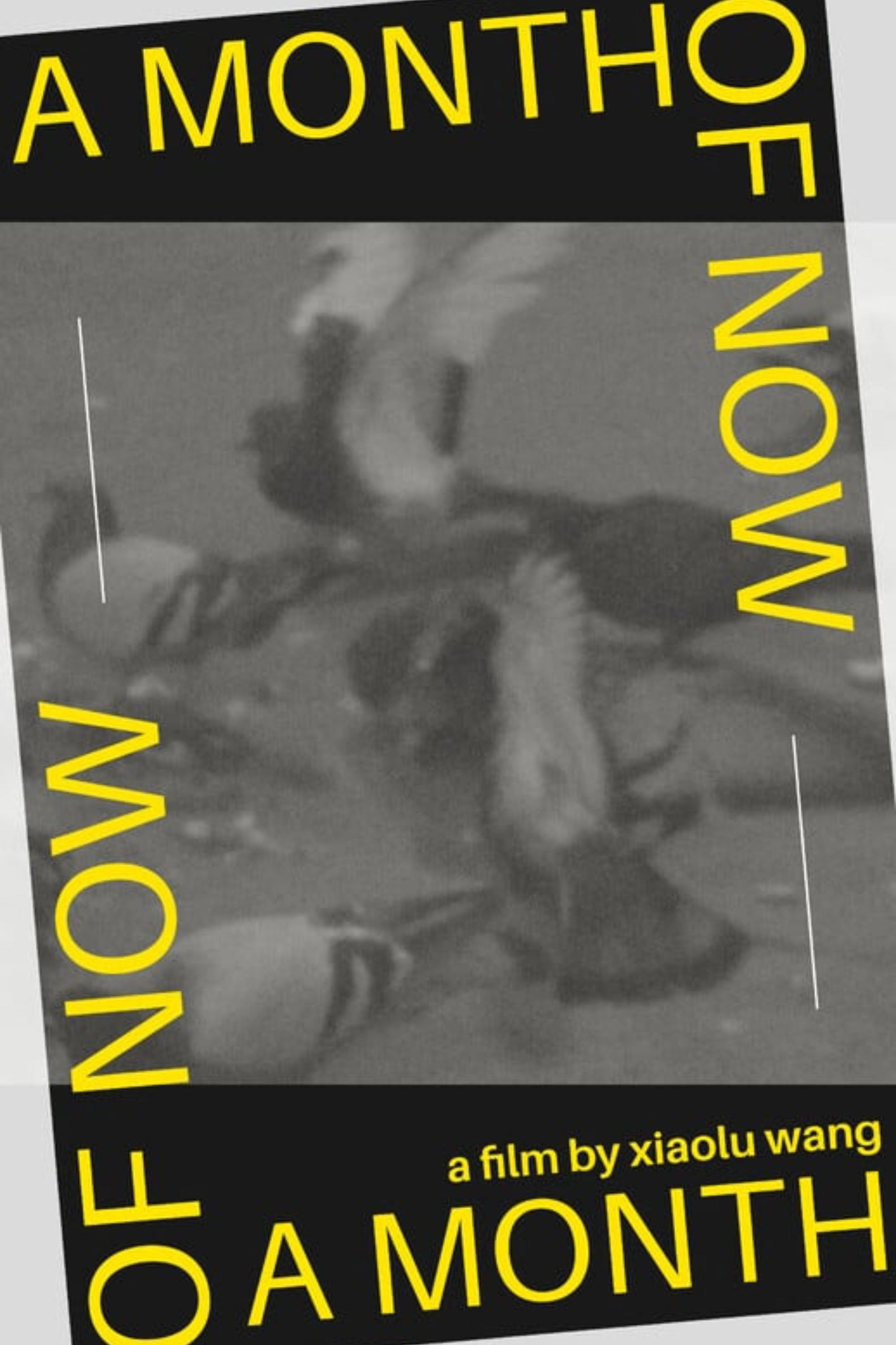 A Month of Now