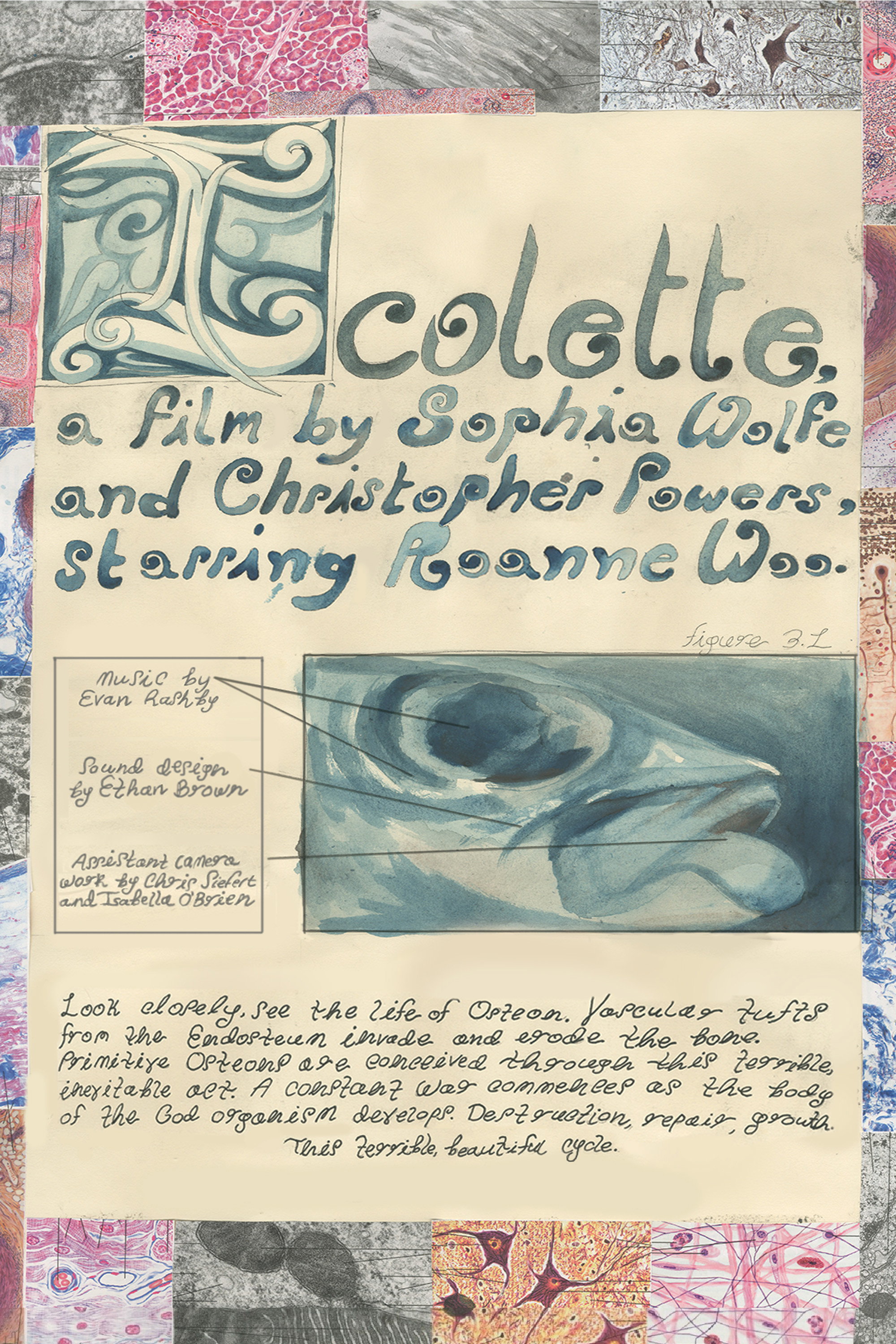 Icolette