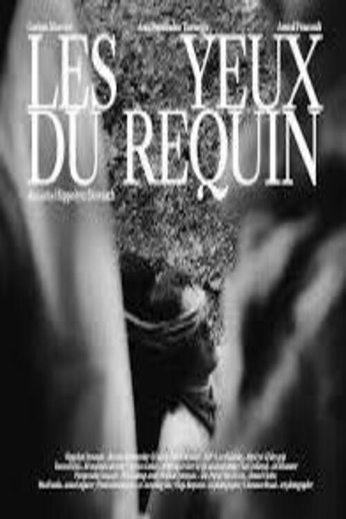 Les Yeux du Requin