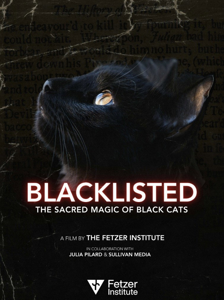 Blacklisted