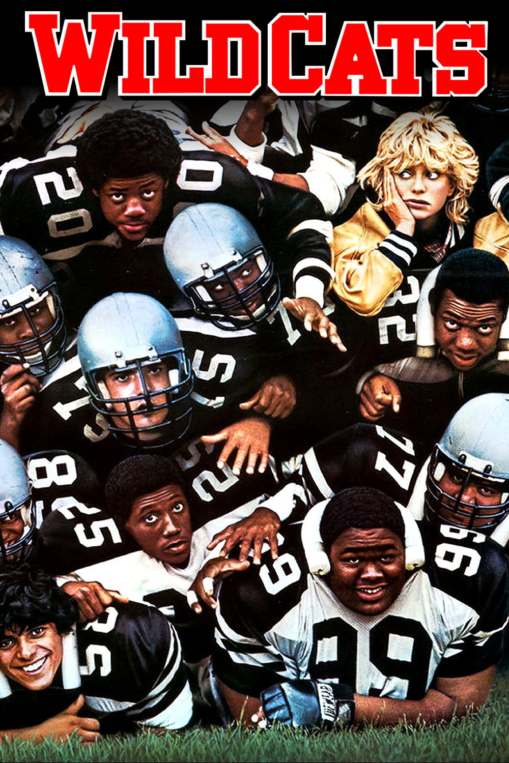 Wildcats