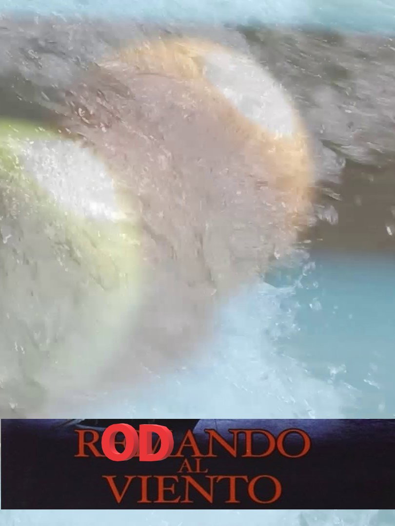 Rodando al viento