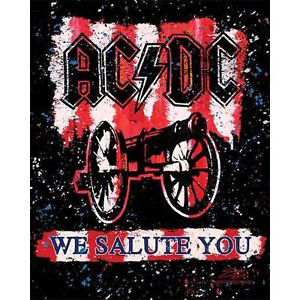 AC/DC: We Salute You