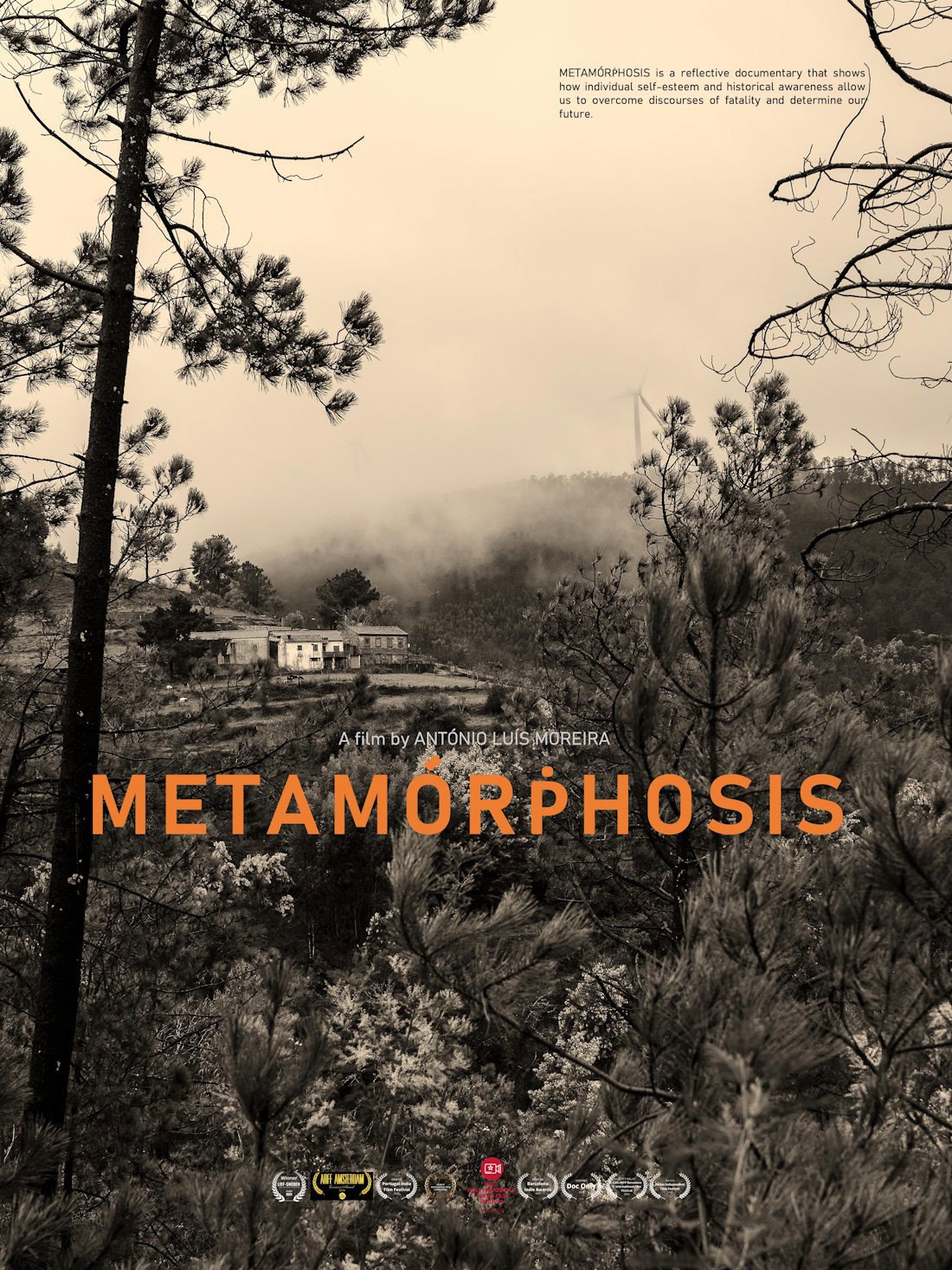 Metamorphosis