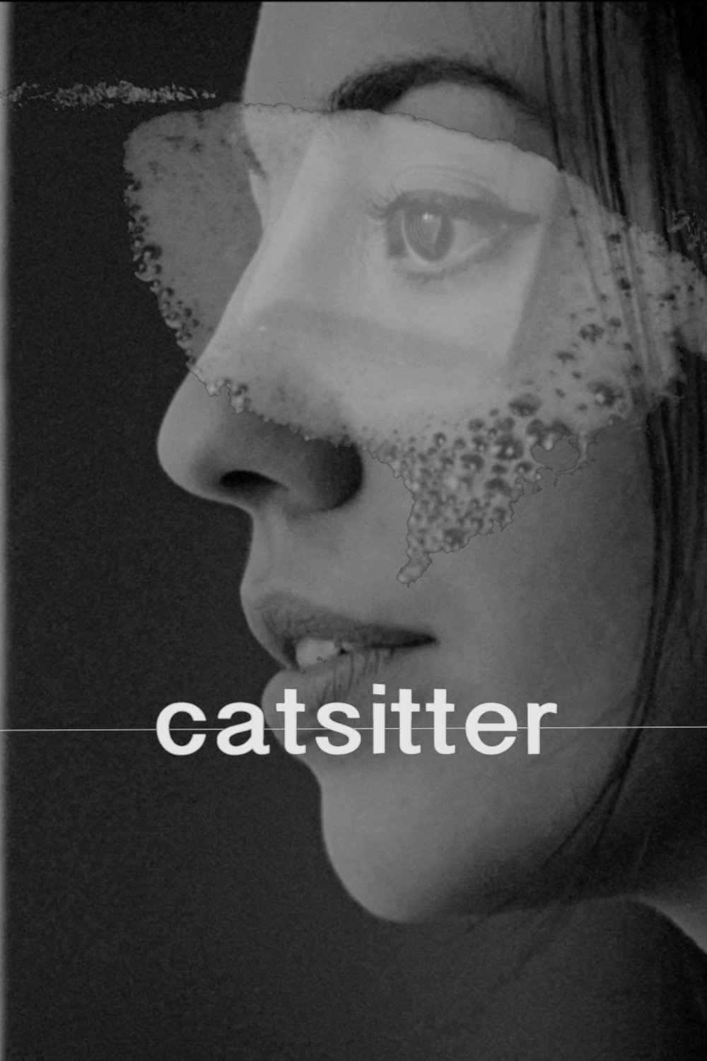 Catsitter