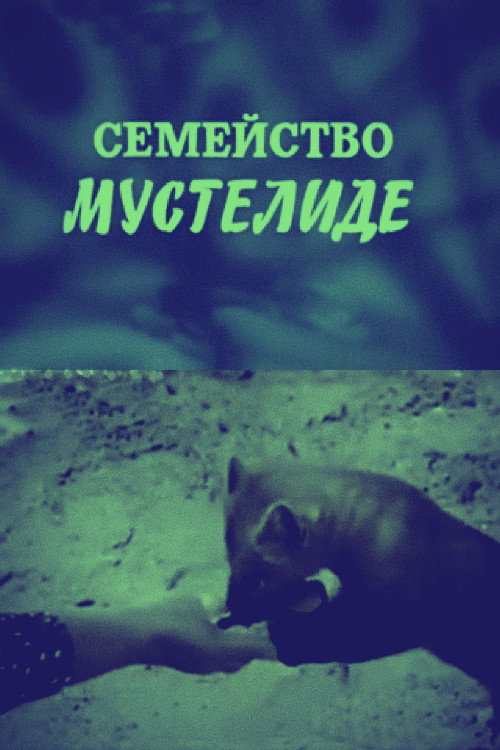 Семейство мустелиде
