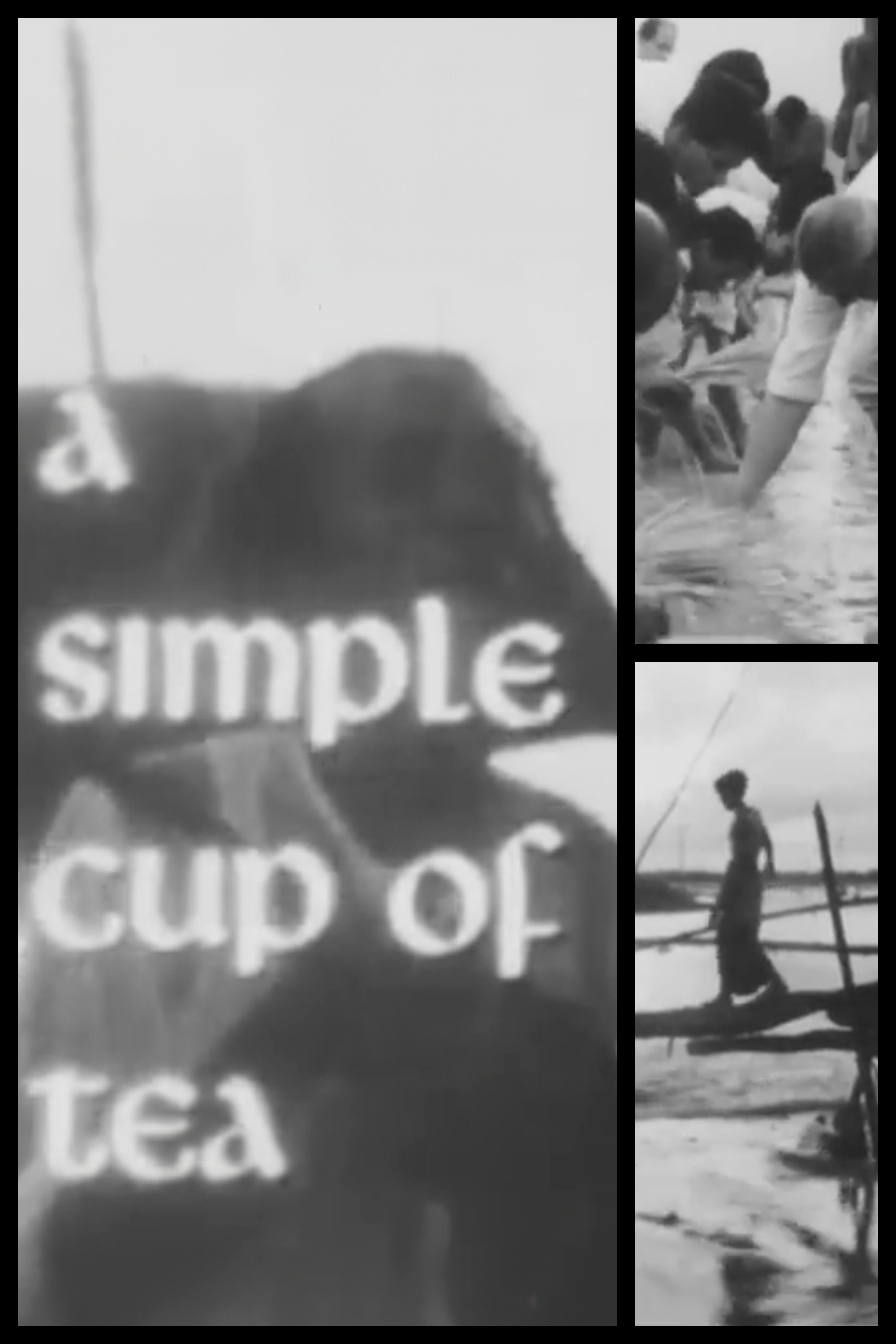 A Simple Cup of Tea