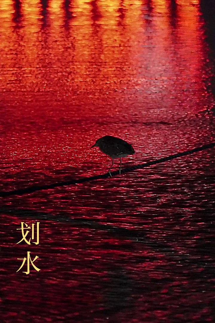 划水