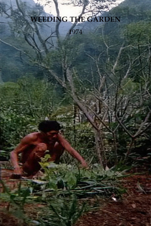 Weeding the Garden
