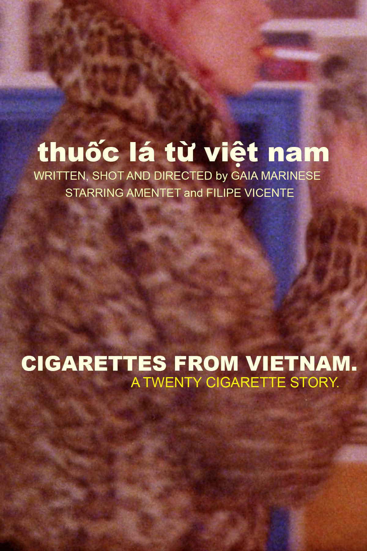 Cigarettes from Vietnam