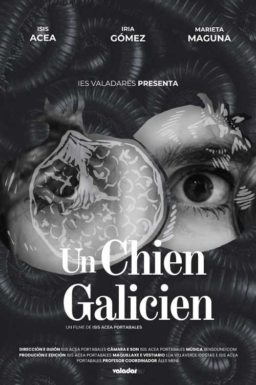 Un chien galicien