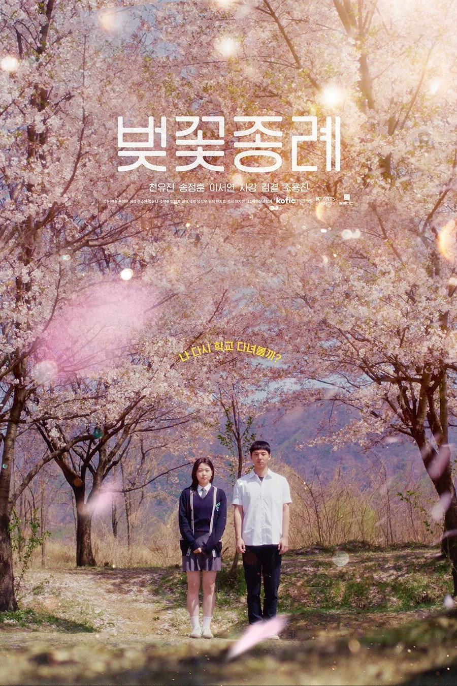 벚꽃 종례