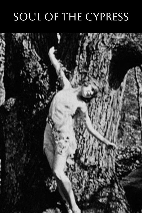 The Soul of the Cypress