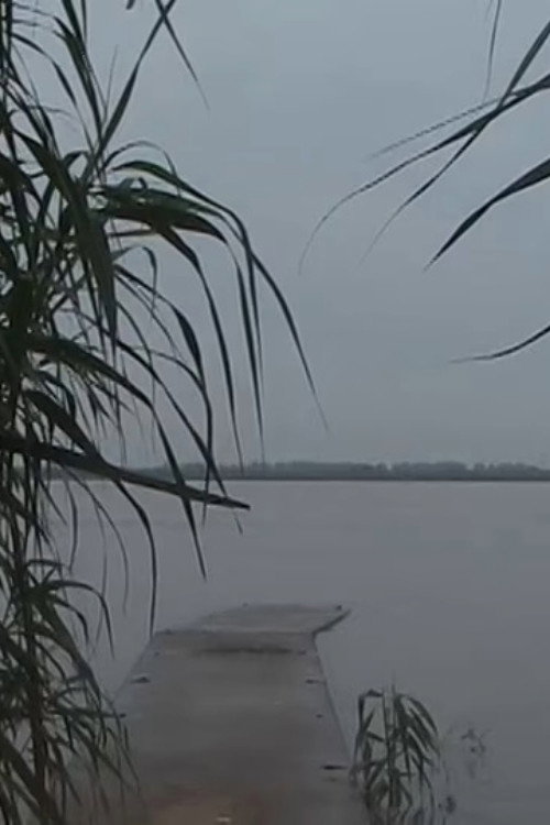 Tongjing
