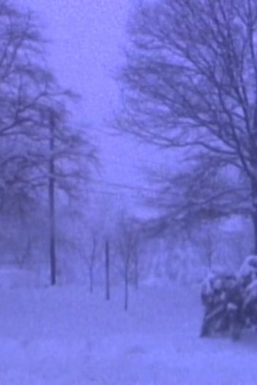 Heavy Snow in Silver Spring