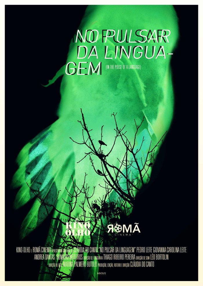 No Pulsar da Linguagem