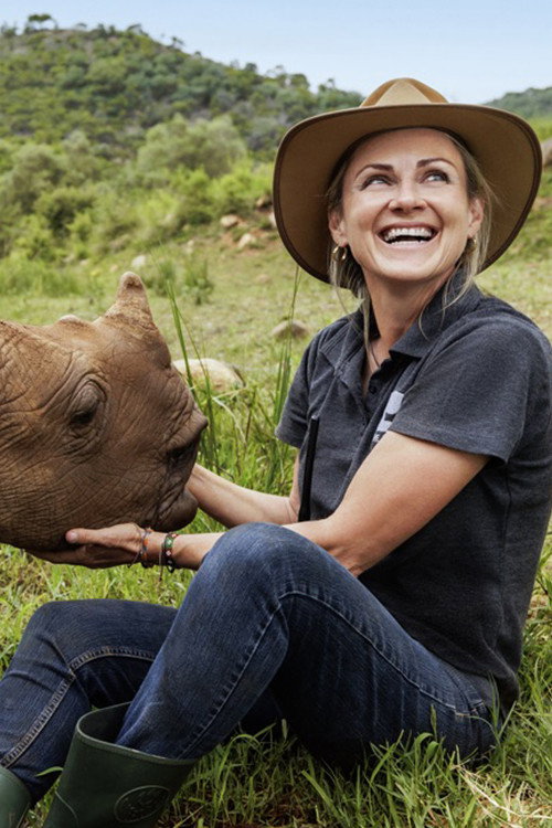 Wild Life - Rhinos