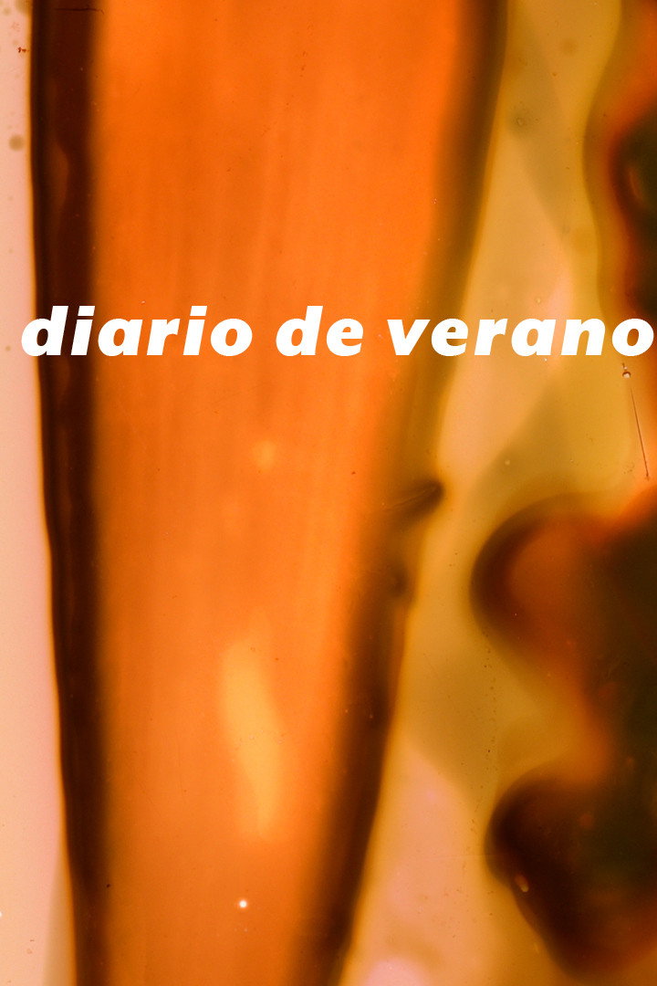 diario de verano