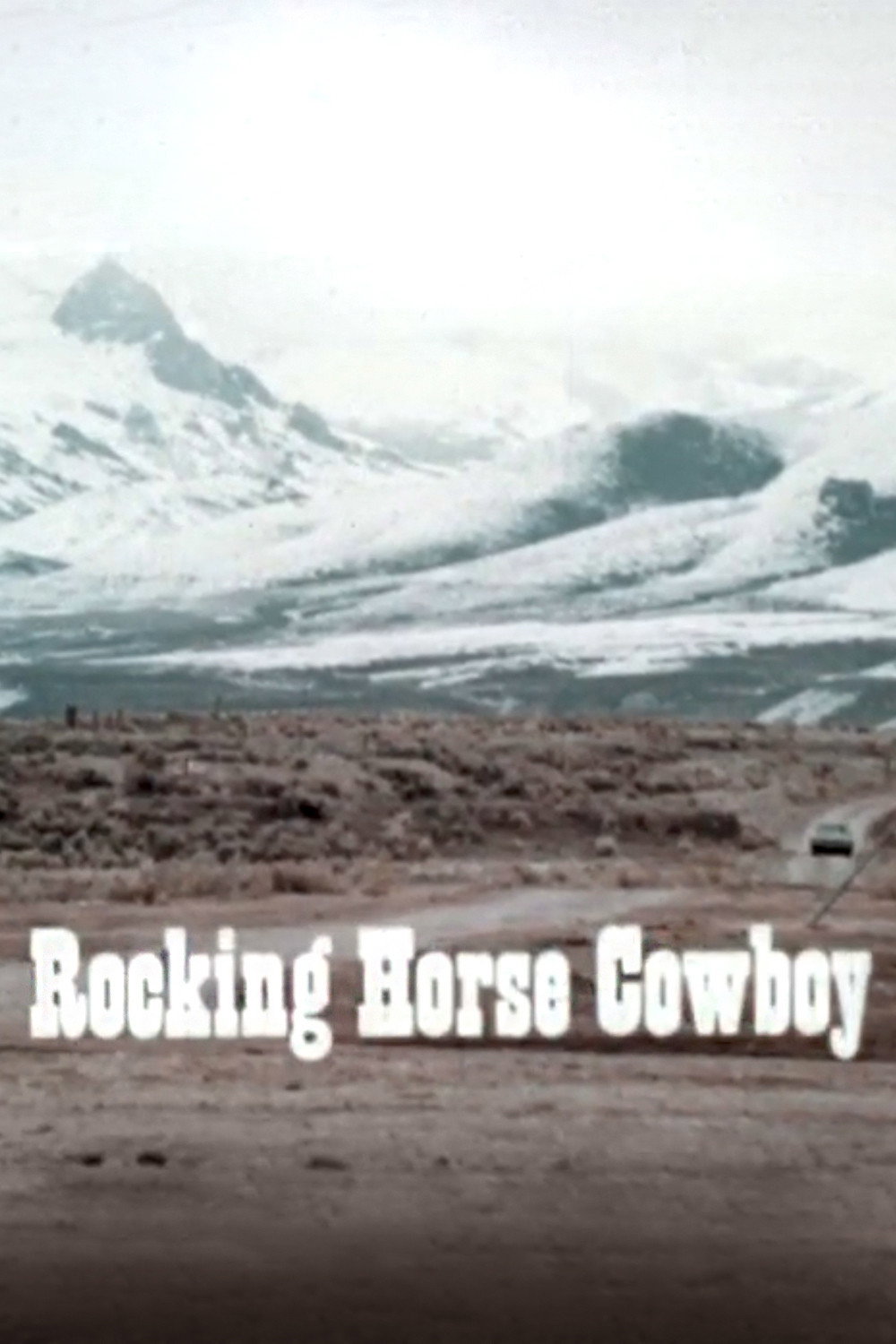 Rocking Horse Cowboy