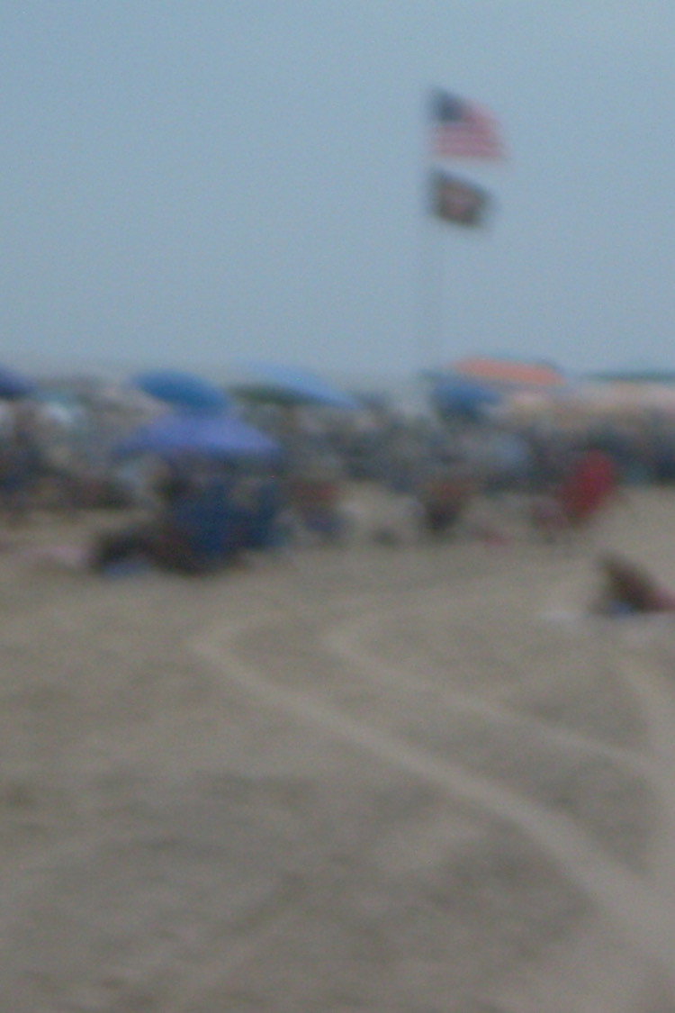 In August Still