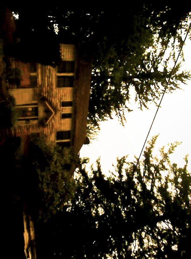 evan's house