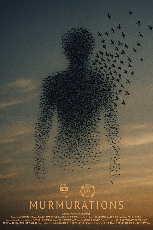 Murmurations