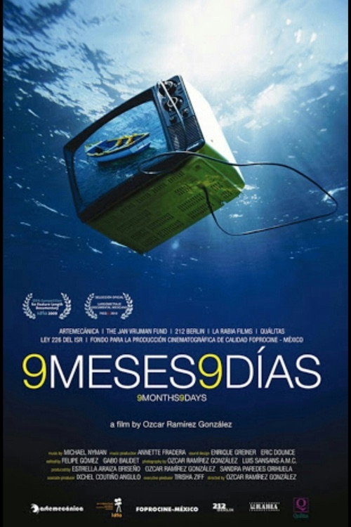9 месяцев, 9 дней