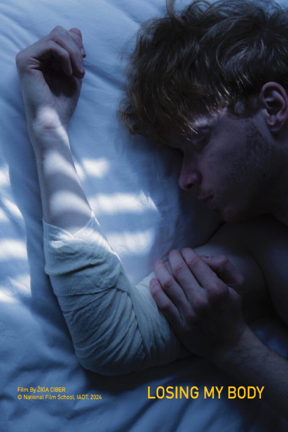 Losing My Body