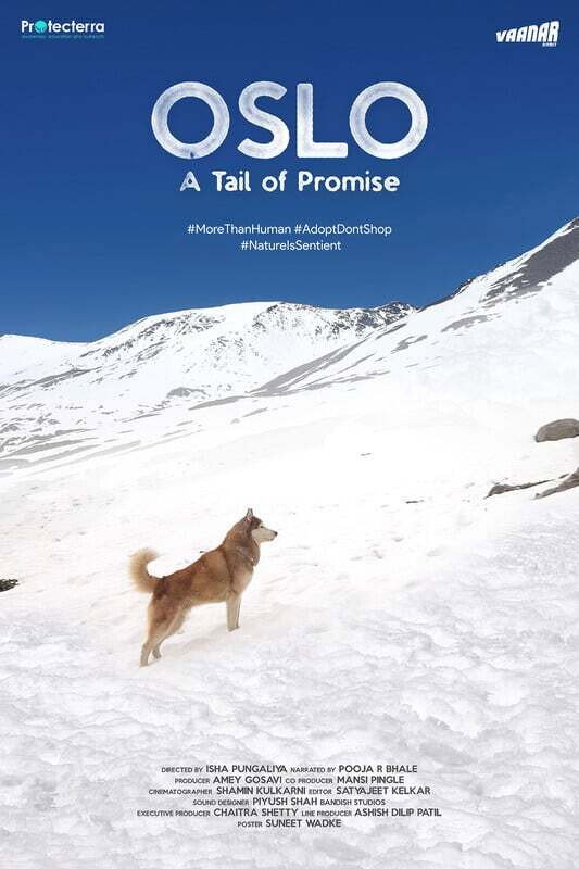 Oslo: A Tail of Promise