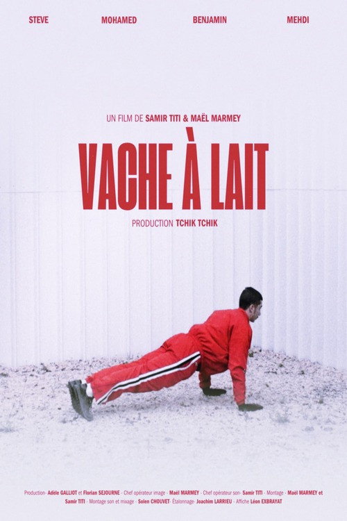Vache à lait