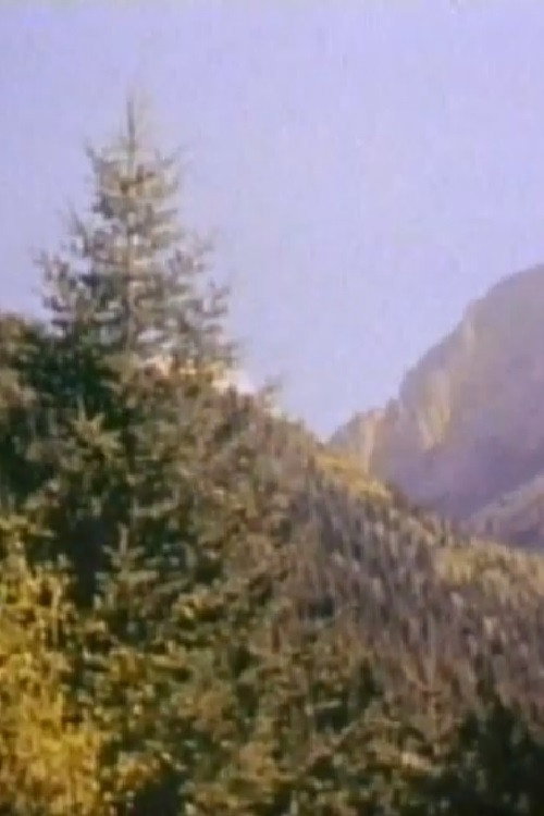 Во пазувите на Шара