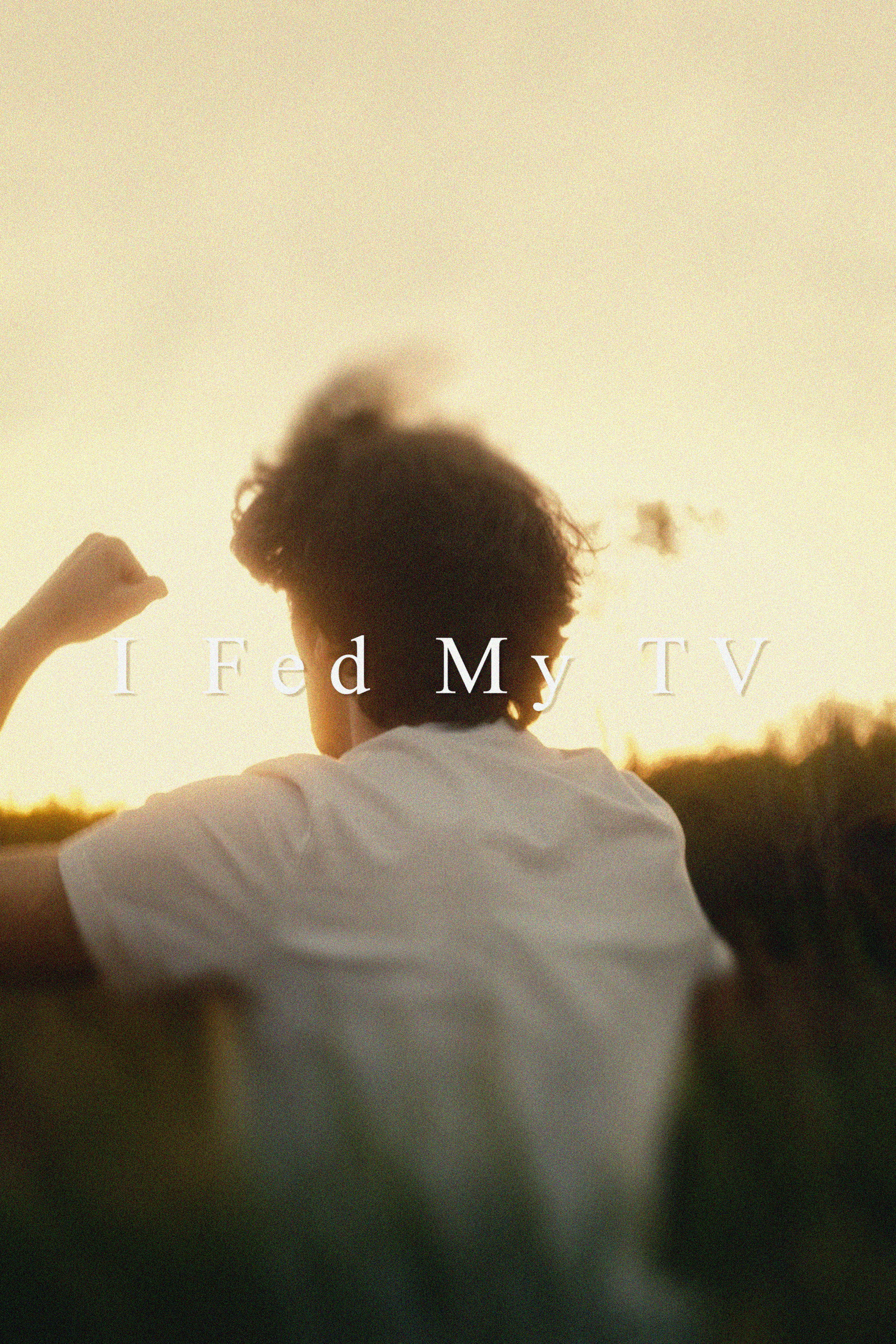 I Fed My TV