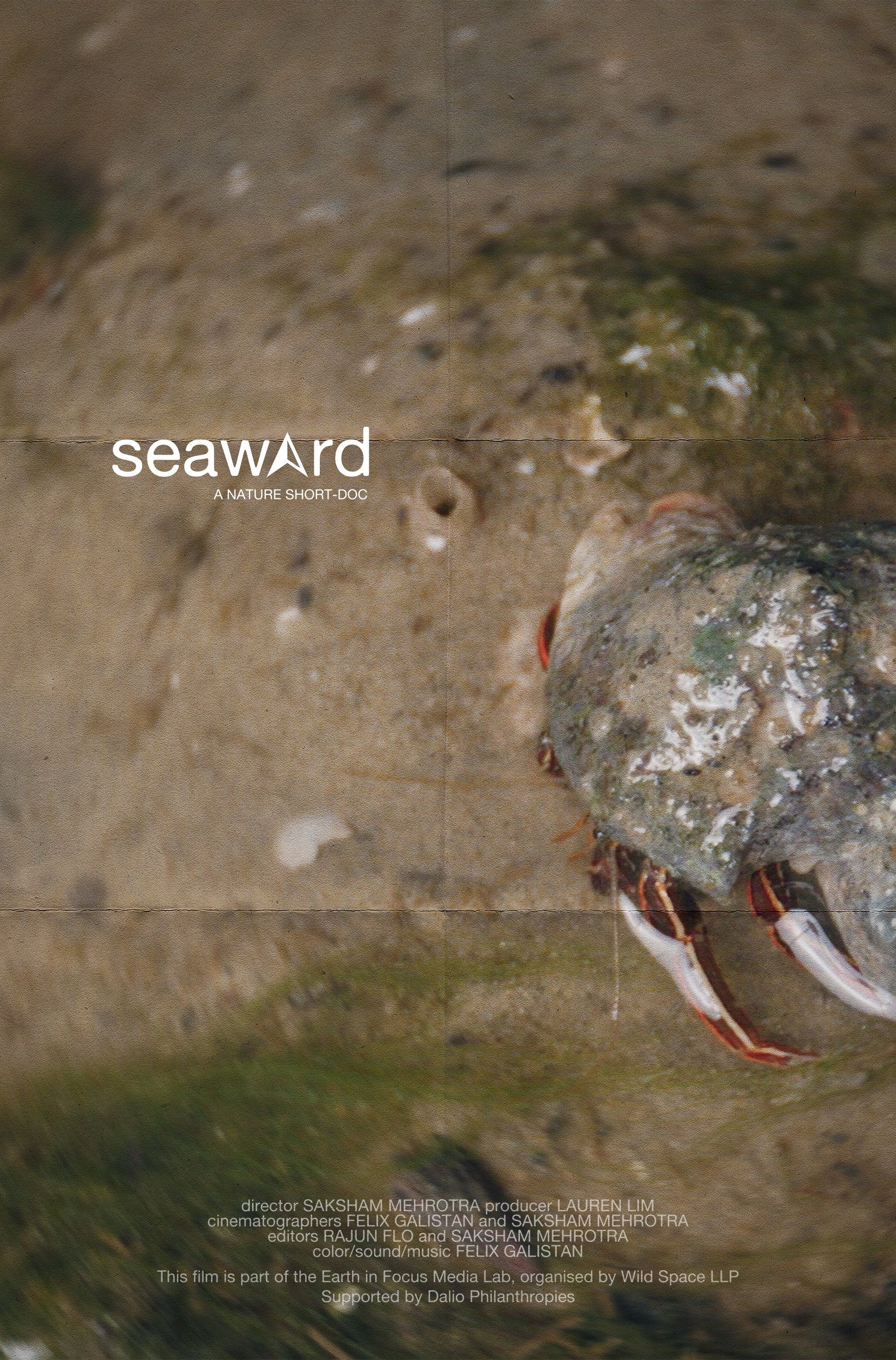 seaward